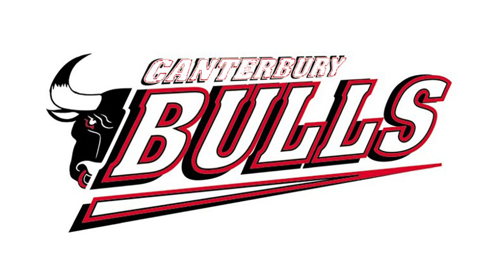 bulls logo - good